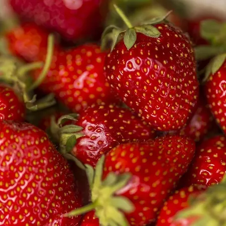 Villa Village Miljavci Pazin