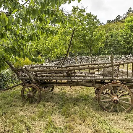 Village Miljavci Βίλα *