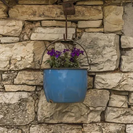 Βίλα Village Miljavci *