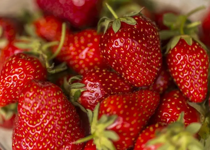 Vila Village Miljavci Pazin